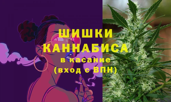 ПСИЛОЦИБИНОВЫЕ ГРИБЫ Балабаново