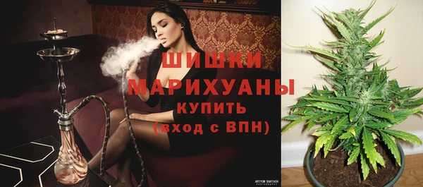 ПСИЛОЦИБИНОВЫЕ ГРИБЫ Балабаново