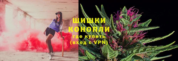 ПСИЛОЦИБИНОВЫЕ ГРИБЫ Балабаново