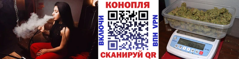 наркота  Заозёрск  Каннабис сатива 